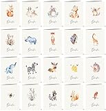the lazy panda card company 20 Dankeskarten mit 20 verschiedenen Aquarell-Tierzeichnungen auf der...
