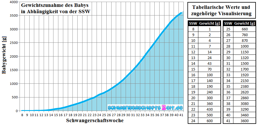 Gewichtskurve Schwangerschaft: 14 Kg Zunahme in 30 SSW