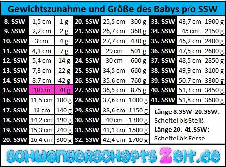 15 Ssw Babys Entwicklung Grosse Und Gewichtszunahme