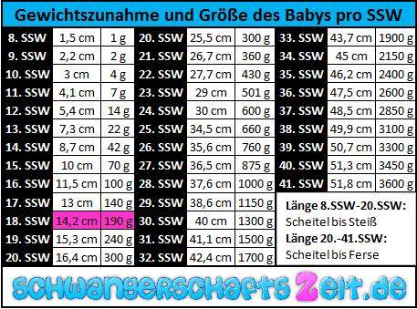 18. SSW: Entwicklung, Größe, Gewichtszunahme & Ultraschall