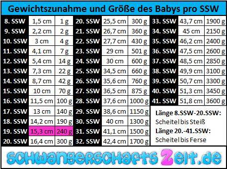 Tabelle - 19. SSW - Gewichtszunahme-Größe