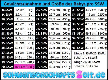 20 Ssw Entwicklung Grosse Gewichtszunahme Im Bauch