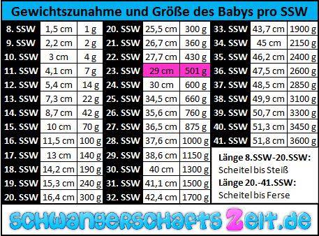 23 Ssw Bauch Entwicklung Gewichtszunahme