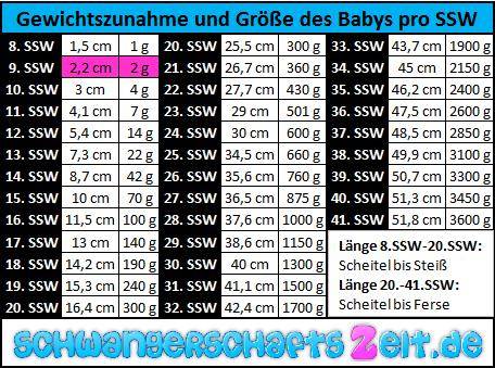 9 Ssw Anzeichen Bauch Entwicklung Ultraschall