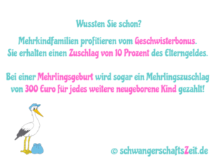 Elternzeitgesetz - Übersicht Bonus